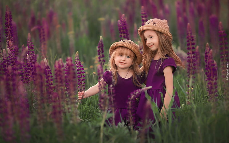 Sisters in Lupin Meadow, meadow, lupins, hats, purple, children, sisters, girls, HD wallpaper