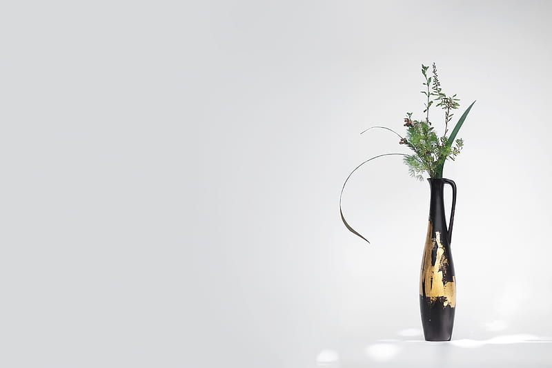 green plant on black glass vase, HD wallpaper