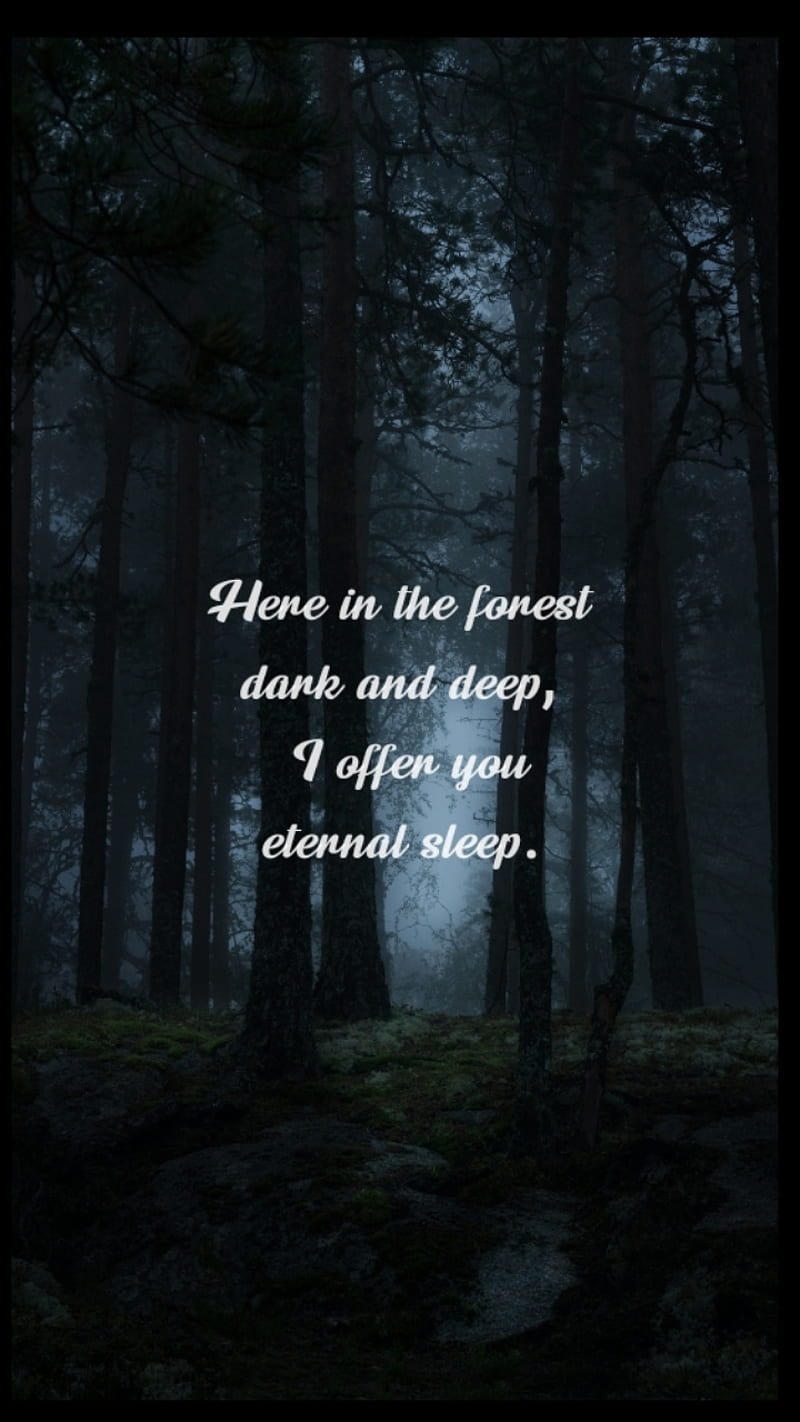 The Forest, dark, deep, nature, night, night time, quote, tree, trees, woods, HD phone wallpaper