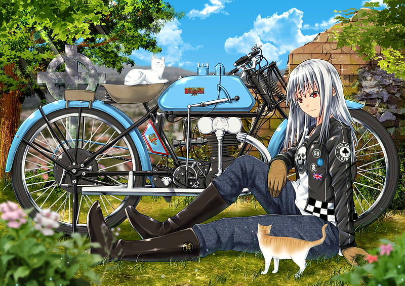 anime girl, motorbike, neko, cats, cute, green, clouds, Anime, HD wallpaper