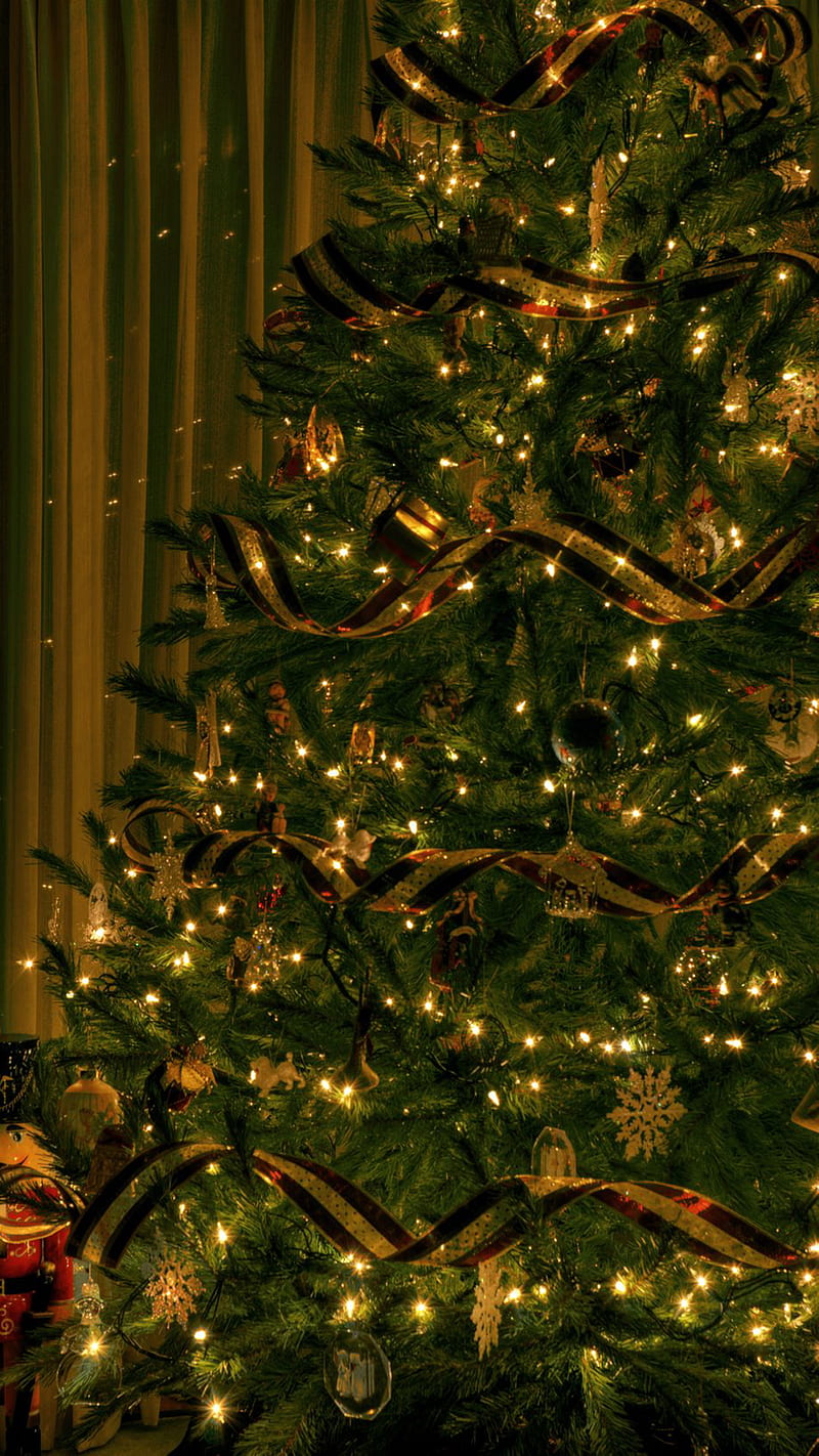 Christmas Tree, festive, holiday, HD phone wallpaper