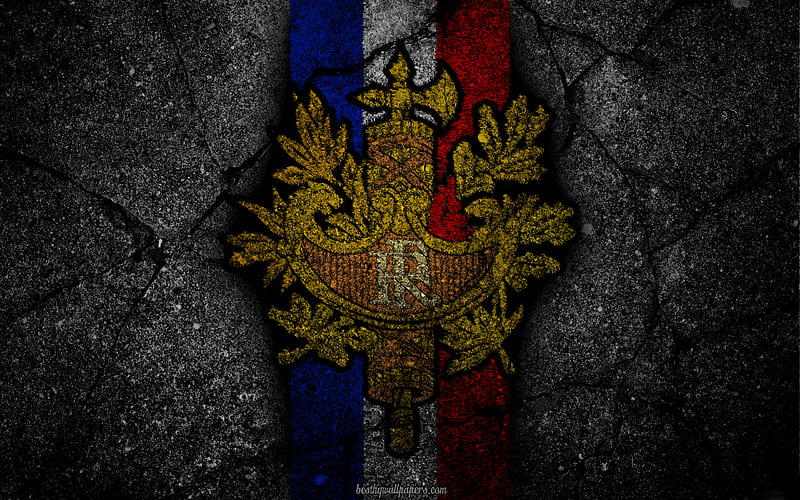 coat of arms of France, French coat of arms, grunge, flag of France, art, French flag, symbolism of France, HD wallpaper