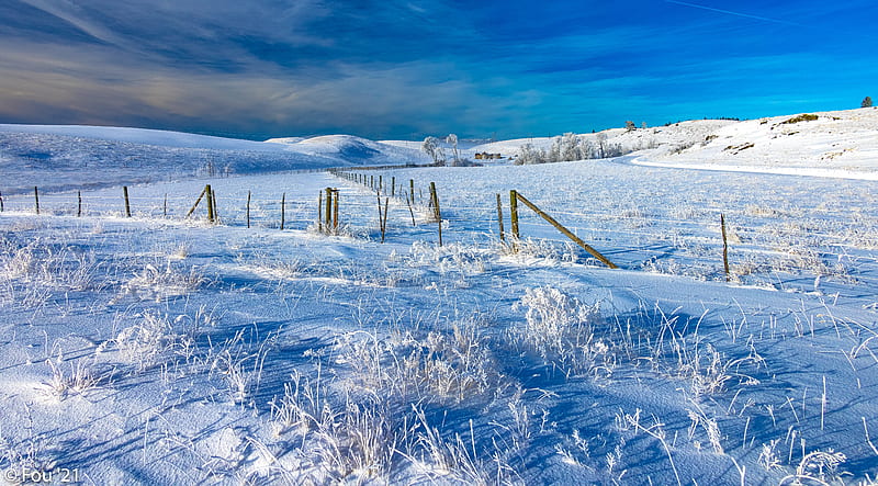 field, snow, hills, fence, winter, HD wallpaper