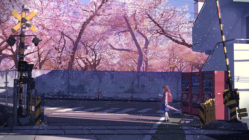 anime school girl, sakura blossom, spring, trees, scenery, Anime, HD wallpaper