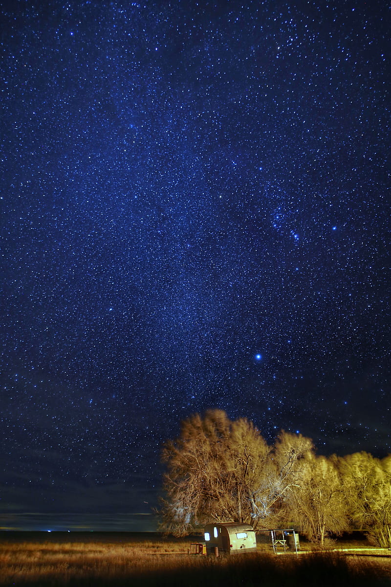 starry sky, stars, trees, night, dark, HD phone wallpaper