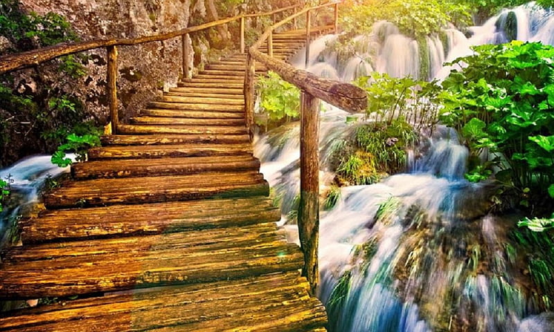 A bridge, grasses, falls water, Bridge, ramp, wood, HD wallpaper