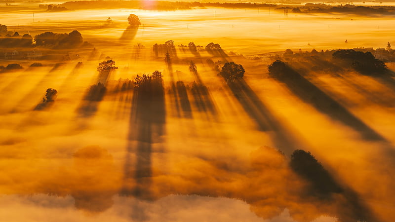 Earth, Fog, Lithuania , Kaunas , Sunbeam, HD wallpaper