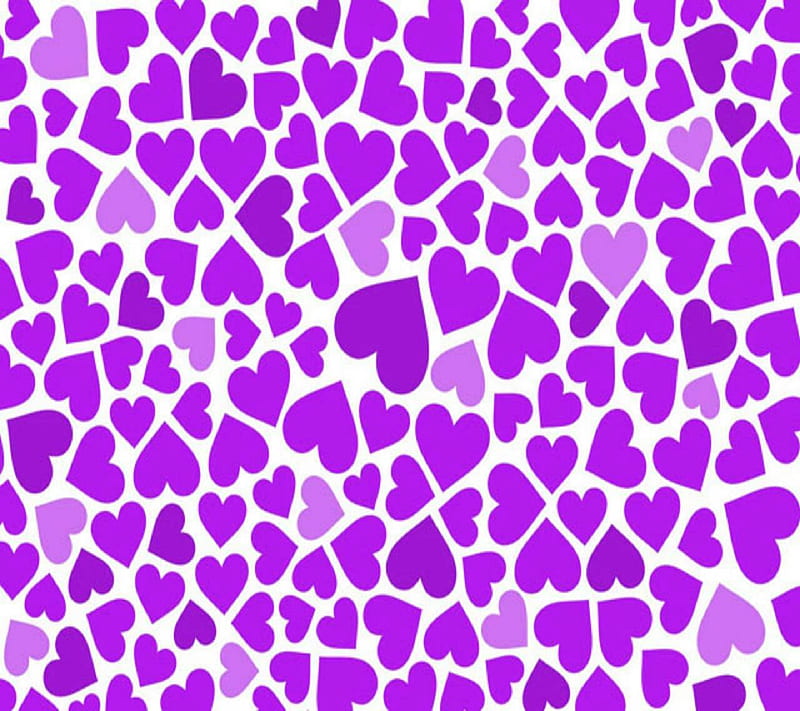 1920x1080px 1080p Descarga Gratis Corazones Morados Corazones Morado Fondo De Pantalla Hd 5083