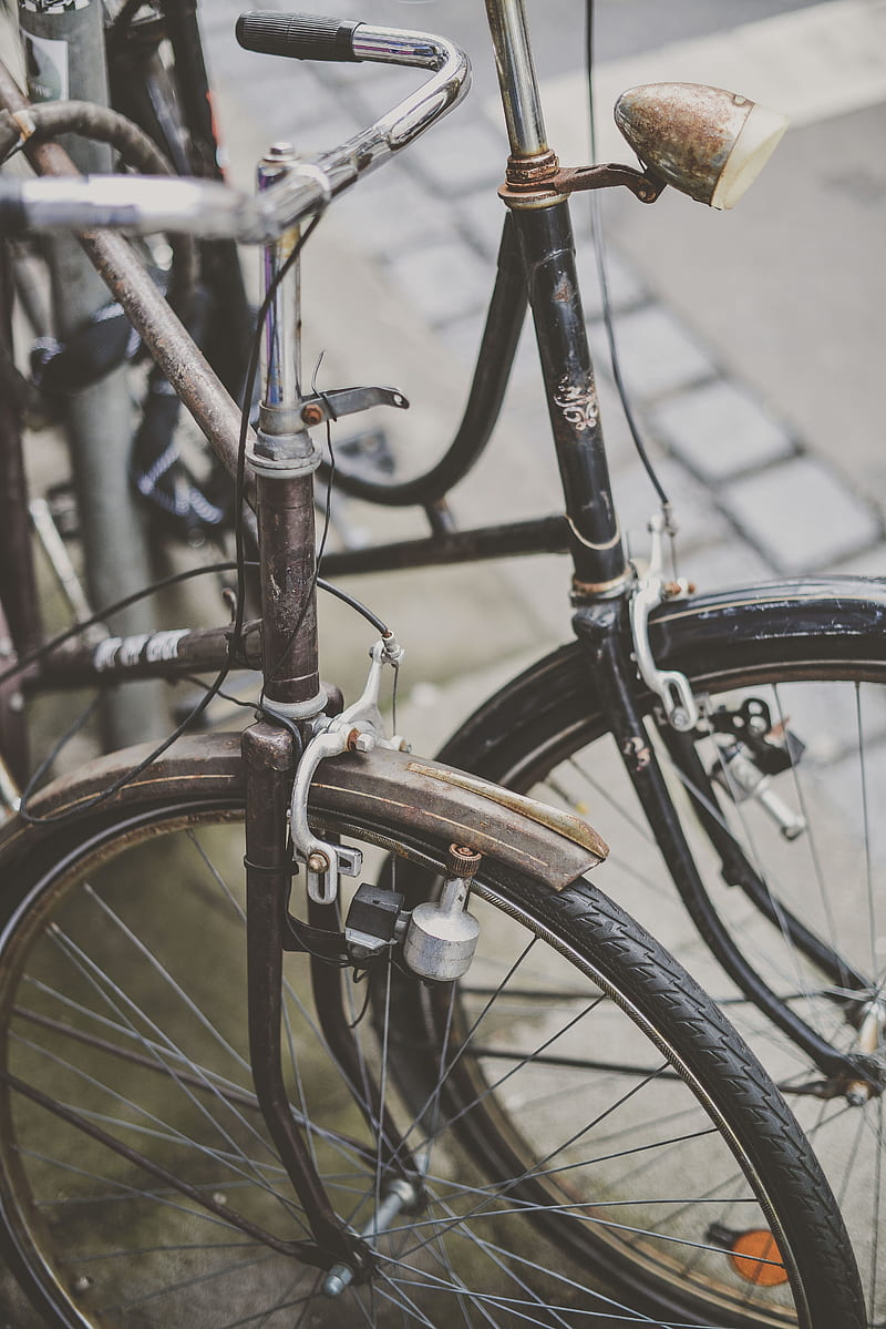 two brown and black commuter's bicycles, HD phone wallpaper