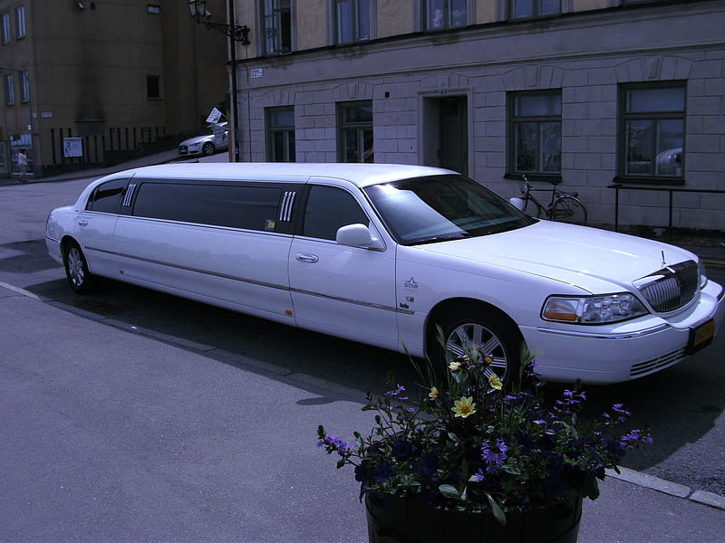 Limousine, Long, Withe, Money, Luxury, HD wallpaper