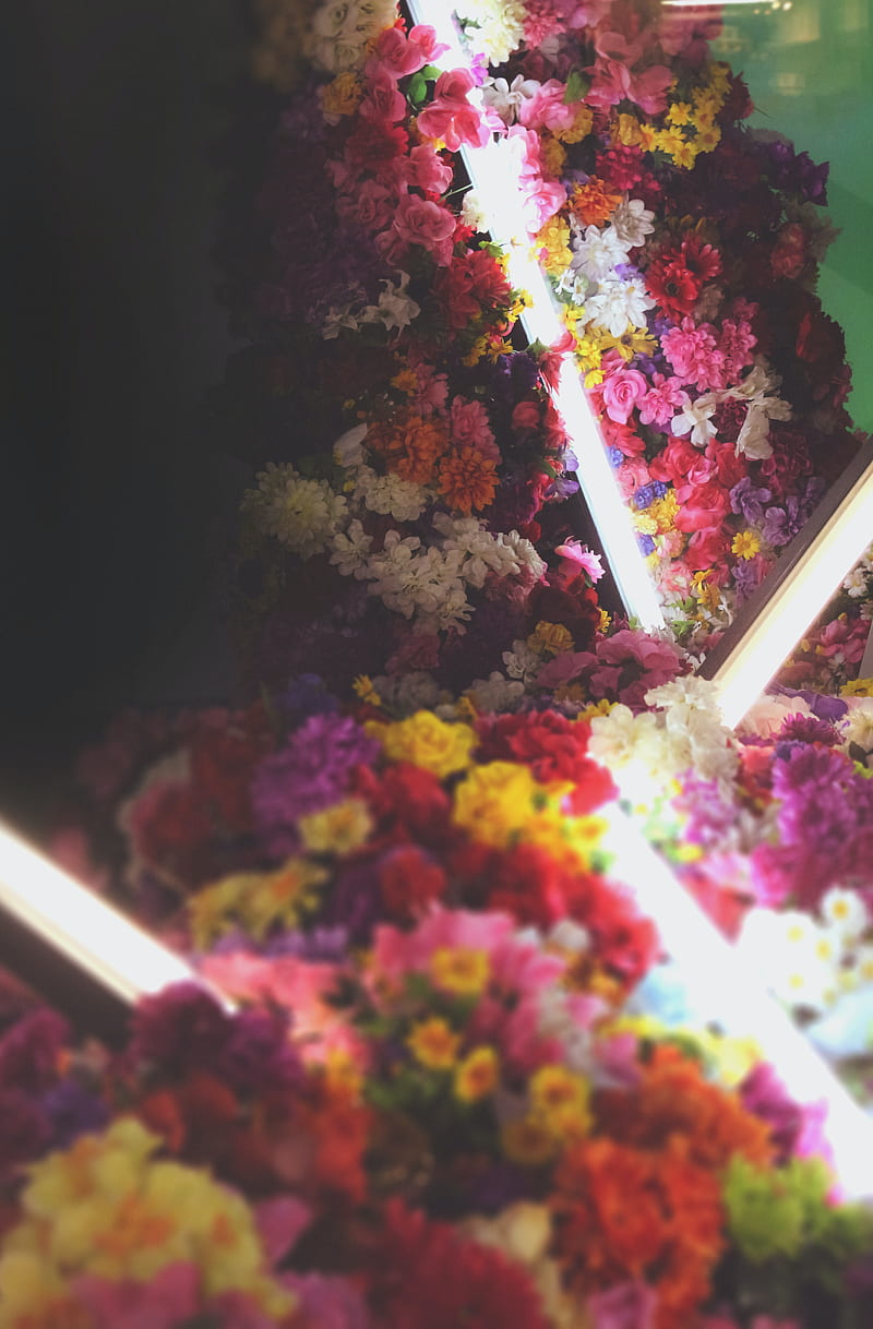 flowers, neon, light, bouquet, HD phone wallpaper