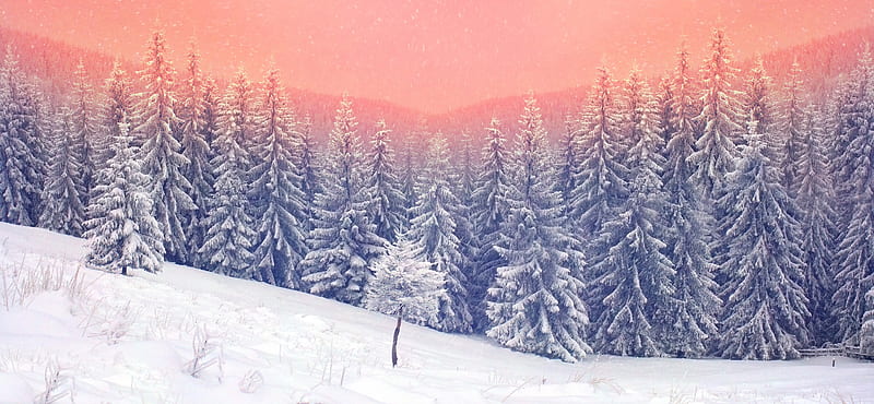 Landscape Snow Trees , landscape, snow, trees, nature, HD wallpaper