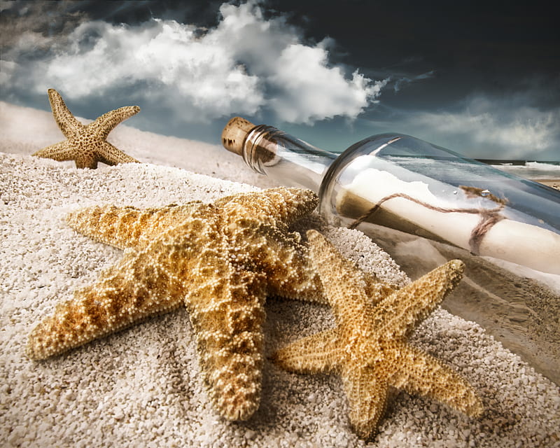 Message in a Bottle..., wet, bottle, bonito, clouds, sea, nature, beach, message, sand, star, letter, stars, amazing, ocean, sky, starfish, water, beaches, nature, HD wallpaper