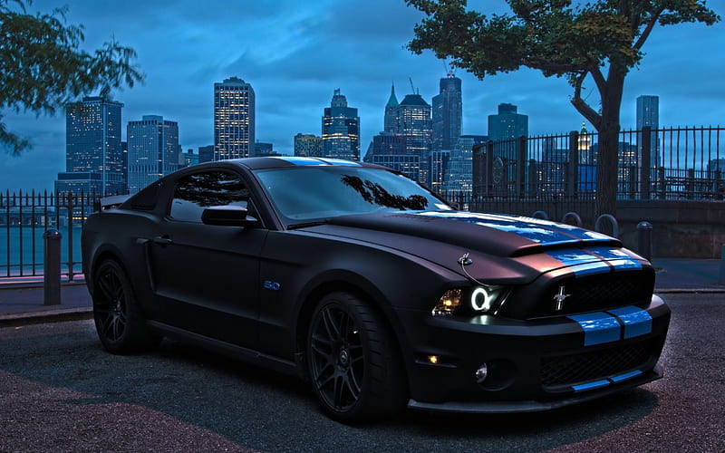 ford mustang 5.0 overlooking nyc, city, driveway, car, black, evening, HD wallpaper