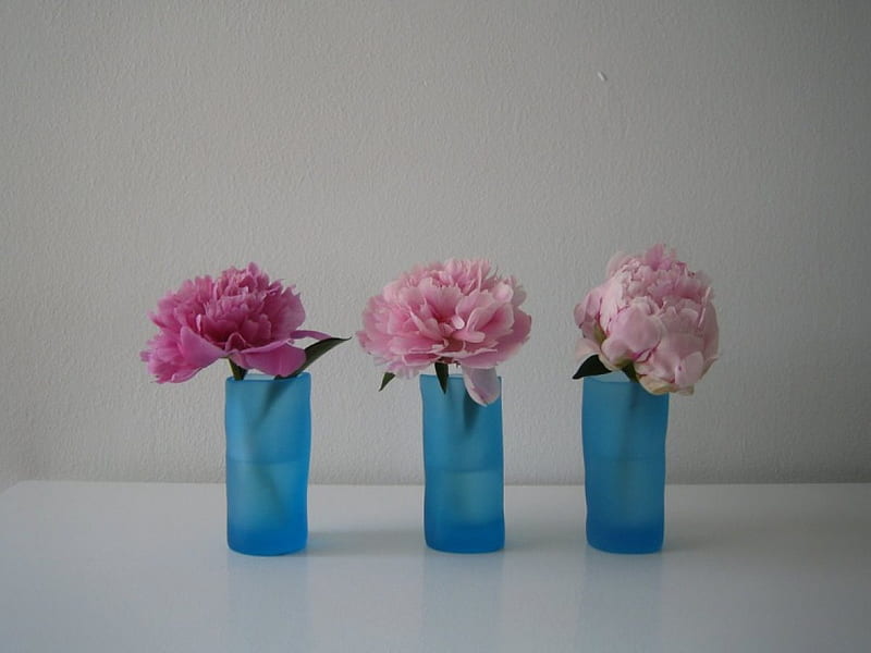 Peonías en azul, grafía, jarrones, cortes, flores, peonías, Fondo de  pantalla HD | Peakpx