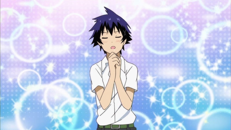 Raku Ichijou, Anime Guy Anime, Short Hair, Nisekoi, School Uniform, Blue  Hair, HD wallpaper | Peakpx