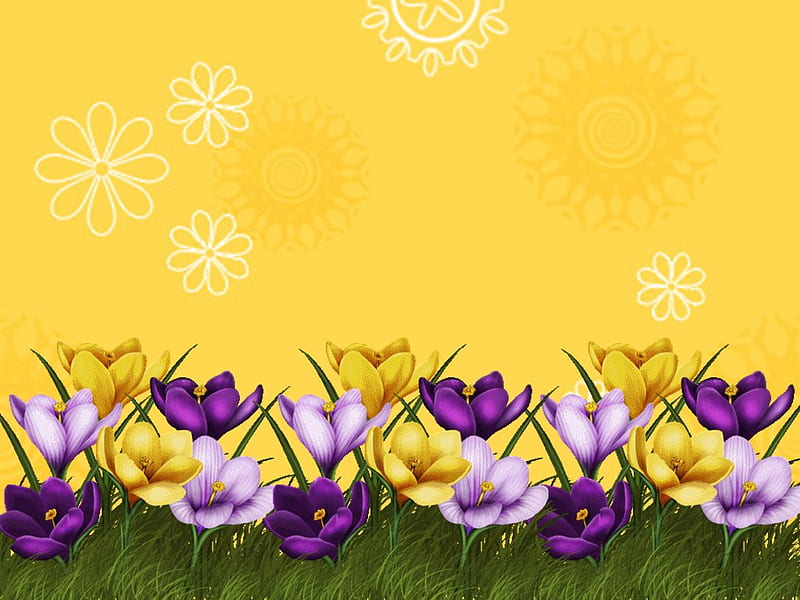 Border flower background, flower, border, yellow, purple, HD wallpaper