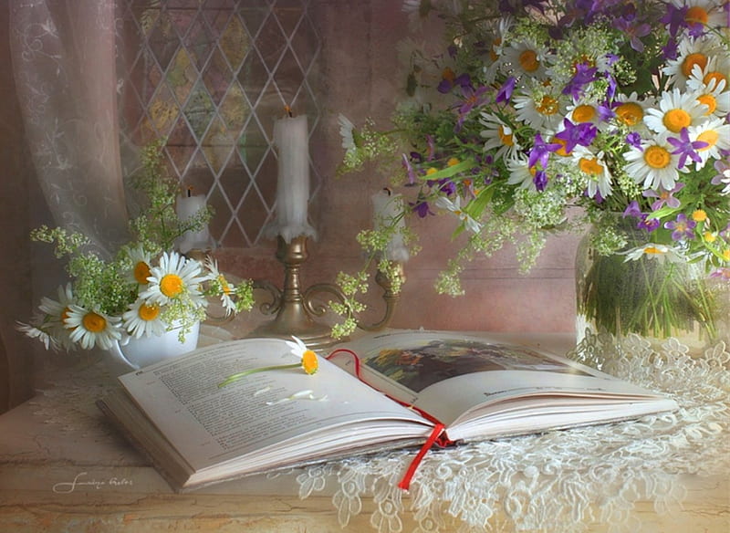 Still life - daisies, sun, book, bonito, still life, candlestick, graphy, flowers, table, window, wild flowers, colors, abstract, candles, daisies, purple, cup, summer, simple, nature, white, HD wallpaper