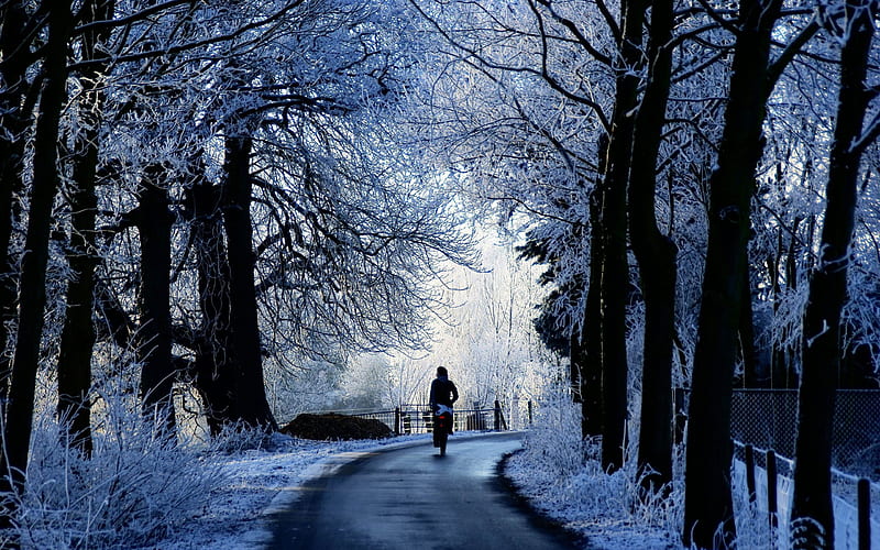 winter road scene-winter snow theme, HD wallpaper