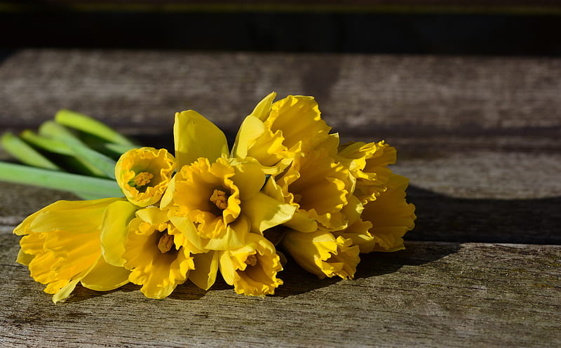 Daffodil Bouquet, Rustic Background Ultra, Vintage, Yellow, Spring, Flowers, Easter, bouquet, Daffodil, Narcissus, perennial, HD wallpaper