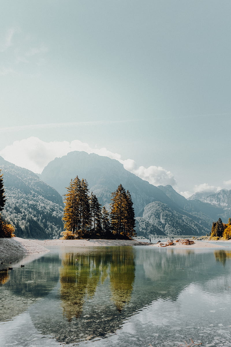 lake, mountains, trees, fog, shore, landscape, HD phone wallpaper