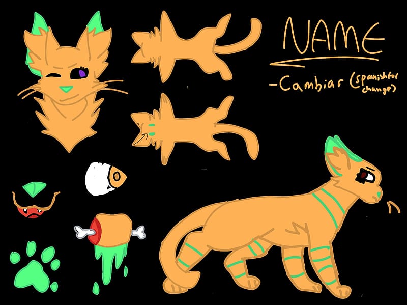 My main OC for Wii Deleted You's pet, spanish, change, green, cat, base, pet, orange, HD wallpaper