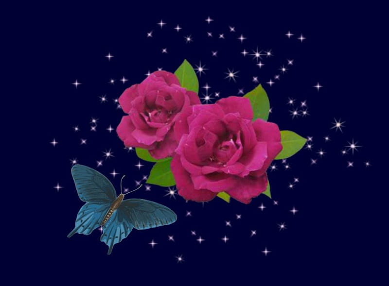 Purple Roses, Roses, Roses and Butterfly, Roses of Love, Butterfly