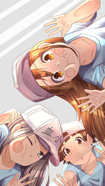 Platelet - Hataraku Saibou - Image by ハム·HAM #2419776 - Zerochan Anime  Image Board