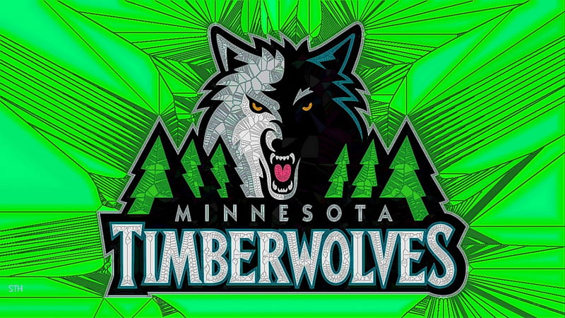 Timberwolves Cracked glass Logo, Minnesota Timberwolves , Timberwolves Logo, Minnesota Timberwolves, Minnesota Timberwolves Logo, Timberwolves, HD wallpaper