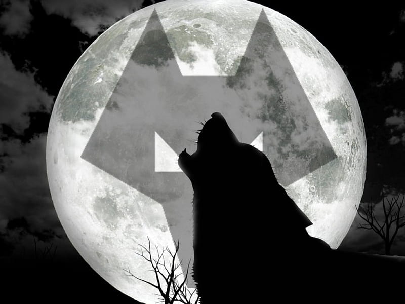 Wolves Moon, soccer, wolverhampton wanderers, fc, wolverhampton, screensaver, moon, football, wwfc, wolf, wolves, wanderers, HD wallpaper