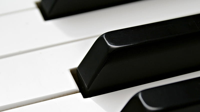pianos keyboards-Macro, HD wallpaper