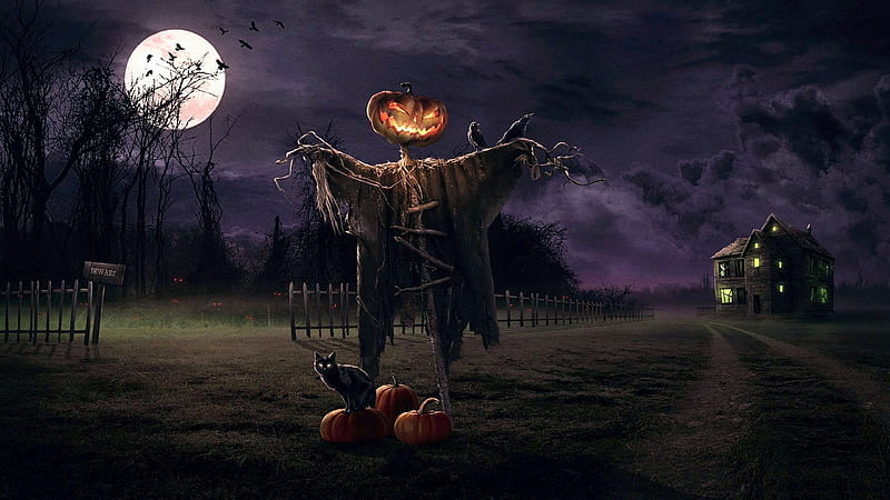 Scarecrow, art, moon, halloween, digital, cat, pumpkins, night, HD wallpaper