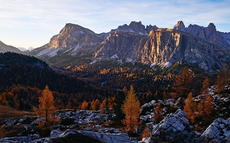 Glowing larches and massive rock faces - Autumn in the Dolomites, italy, fall, south tyrol, trees, colors, rocks, HD wallpaper
