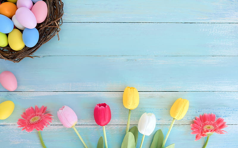 Easter, colorful tulips, religious holidays, blue wooden background, Easter eggs, HD wallpaper