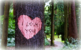 HD i love you tree wallpapers | Peakpx
