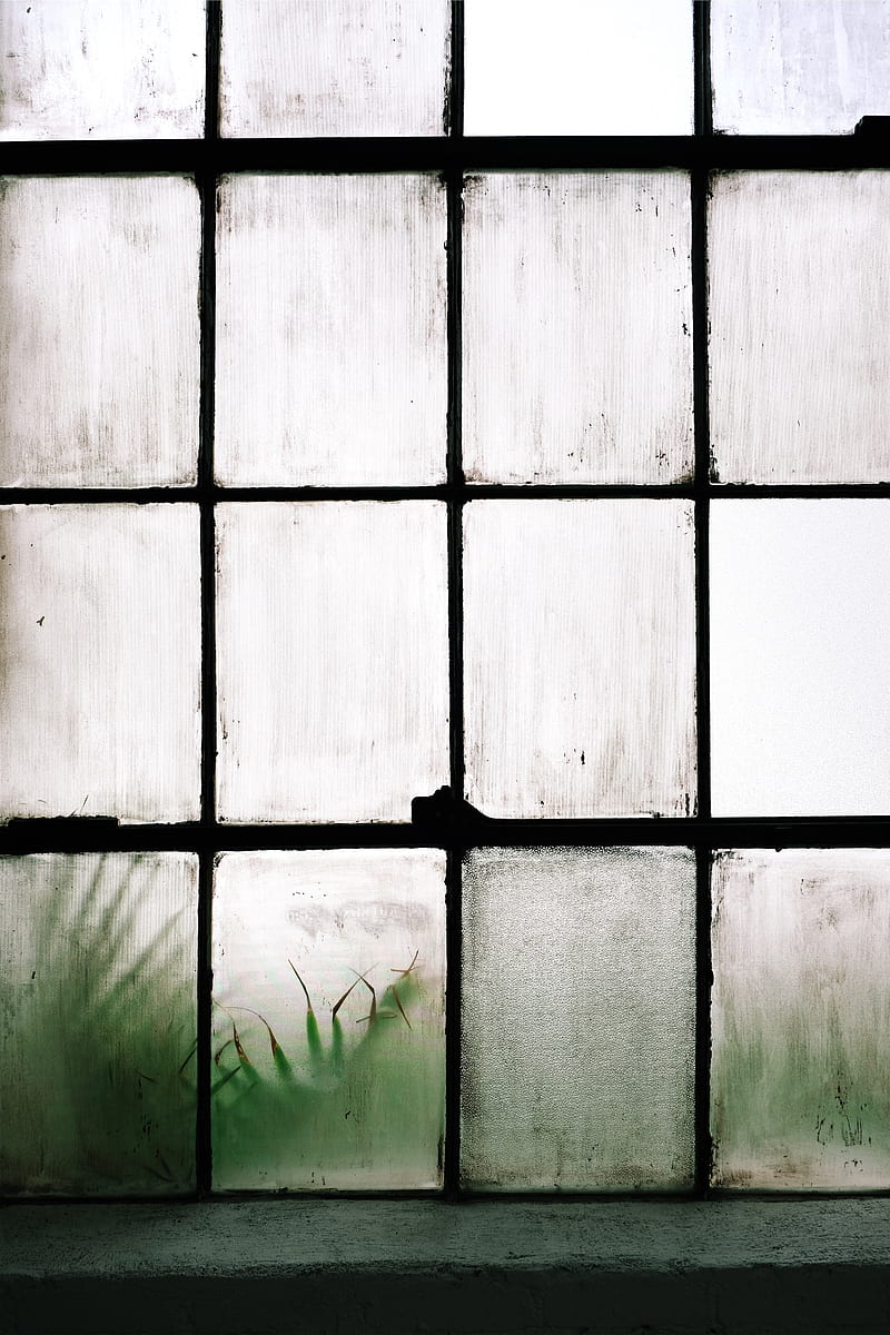 window, lattice, glass, misted, white, HD phone wallpaper