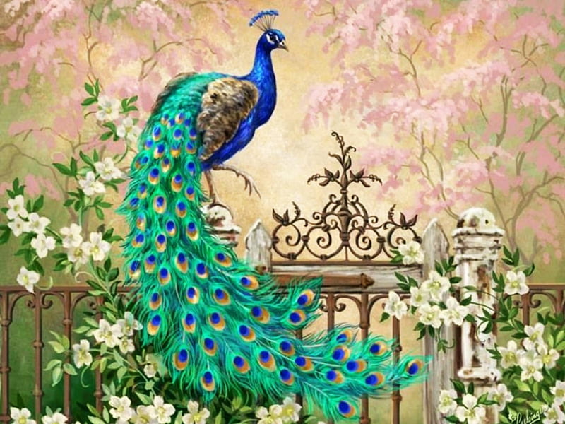 Beauty of a Peacock, gate, art, peacock, flowers, bonito, HD wallpaper