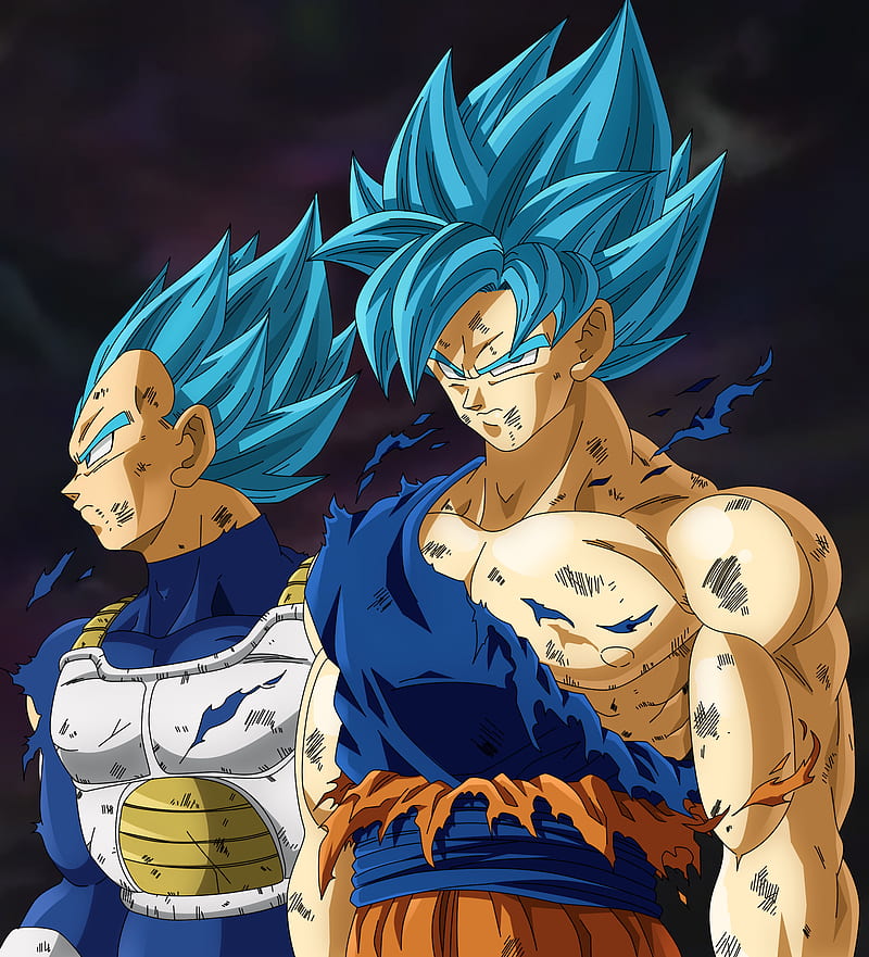 Las Mejores Imagenes De Goku Y Vegeta Ssj Dios Azul Jorgeleon Mx