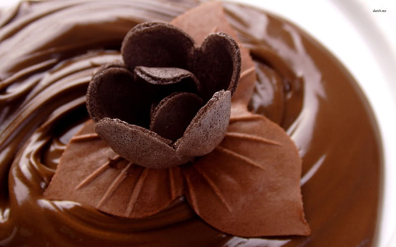 chocolate flower on the mousse, flower, mousse, chocolate, dessert, HD wallpaper