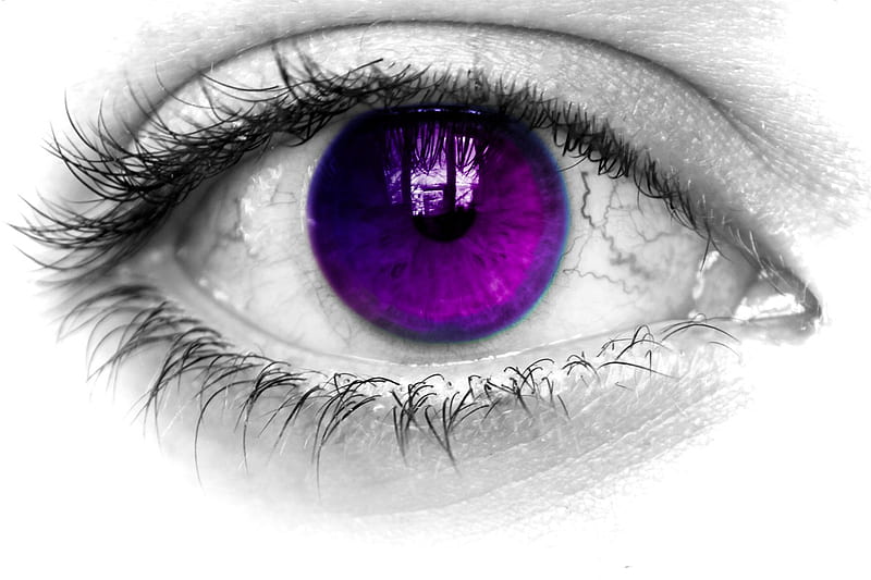 HD purple eyes wallpapers