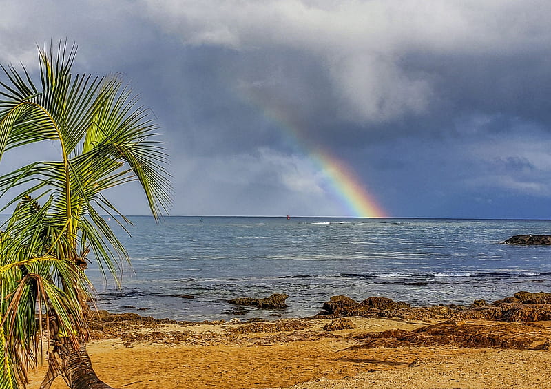 Tropical Hawaiian Island Beach Rainbow Beaches Islands Clouds Oceans Hawaii Hd Wallpaper Peakpx