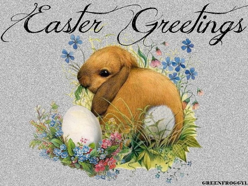 EASTER GREETINGS, EASTER, GREETINGS, COMMENT, CREATION, HD wallpaper