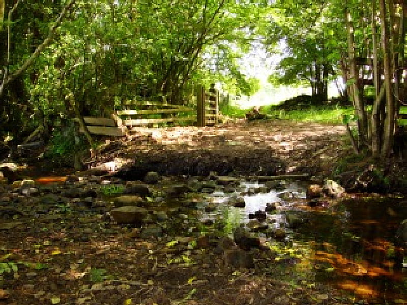 tranquility, countryside, stream, grass, nature, trees, field, HD wallpaper