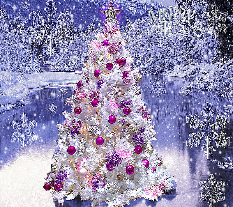 white christmas, christmas tree, frost, ice, ornaments, snow, star, HD wallpaper