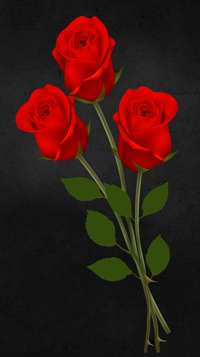 3d red roses, 3d, flower, love, natural, nature, new, nice, romantic, rose,  HD phone wallpaper | Peakpx