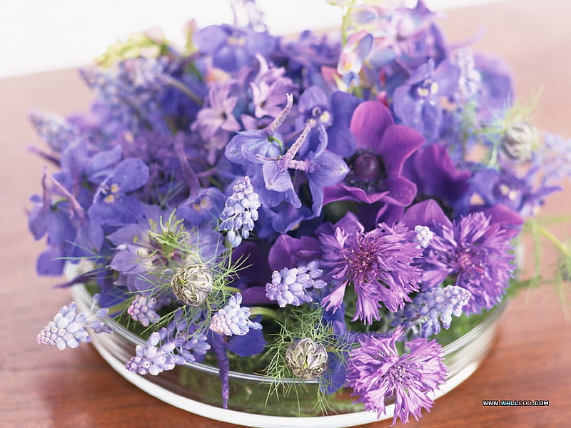 Periwinkle, variety, whites, spring, floral, round, dish, bouquet, mauves, flowers, garden, greens, purples, display, HD wallpaper