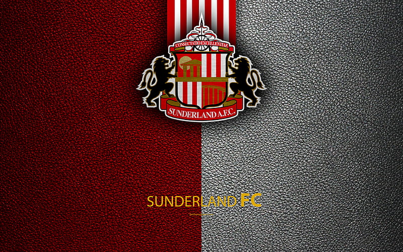 Sunderland FC English football club, logo, Football League Championship, leather texture, Sunderland, UK, EFL, football, Second English Division, HD wallpaper