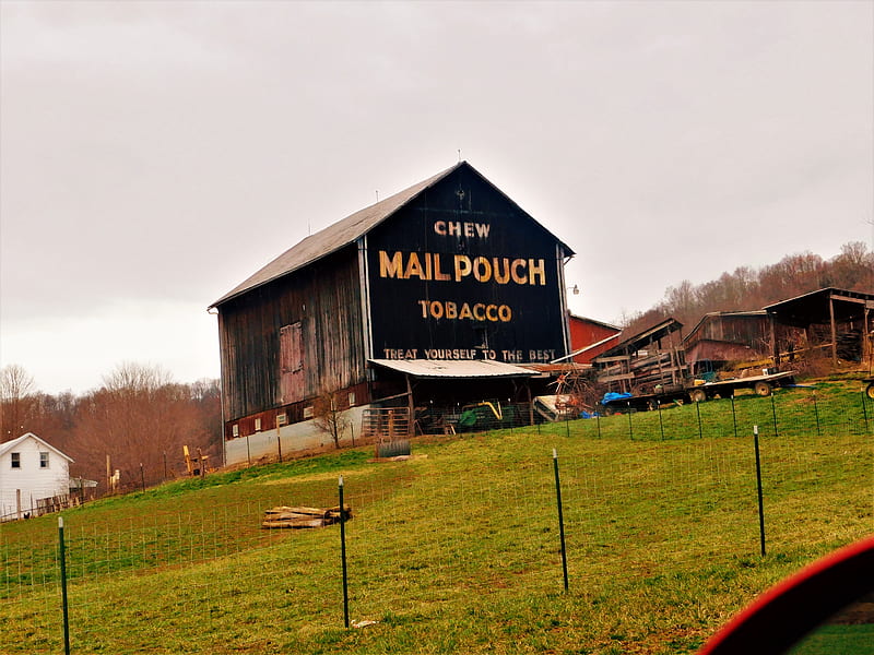 Mail Pouch Barn, a barn in ohio, garms, HD wallpaper
