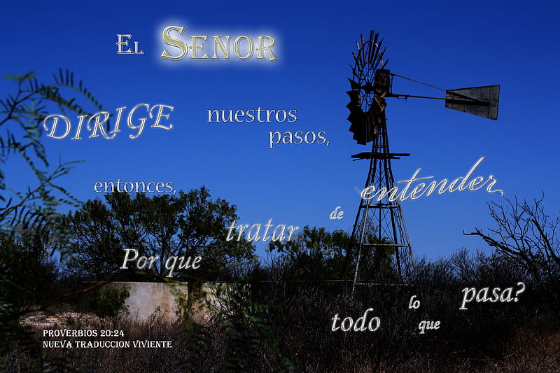 El Senor Dirige Nuestros Pasos, stock tank, windmill, bushes, water, Bible, night, HD wallpaper