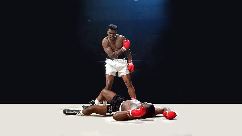 boxer, Muhammad Ali, boxing, knockout, boxing ring, HD wallpaper